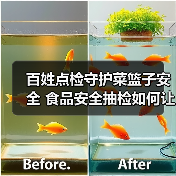 百姓点检守护菜篮子安全 食品安全抽检如何让你买得明白？（图1）