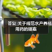 答复|关于规范水产养殖用药的提案(图3) 答复|关于规范水产养殖用药的提案(图3)