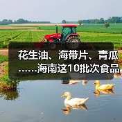 花生油、海带片、青瓜……海南这10批次食品抽检不合格(图1) 花生油、海带片、青瓜……海南这10批次食品抽检不合格(图1)