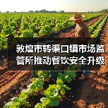 敦煌市转渠口镇市场监管所推动餐饮安全升级 全面提升监管效能(图1) 敦煌市转渠口镇市场监管所推动餐饮安全升级 全面提升监管效能(图1)