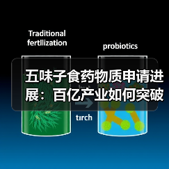 五味子食药物质申请进展:百亿产业如何突破瓶颈?(图1) 五味子食药物质申请进展:百亿产业如何突破瓶颈?(图1)