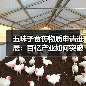 五味子食药物质申请进展:百亿产业如何突破瓶颈?(图2) 五味子食药物质申请进展:百亿产业如何突破瓶颈?(图2)