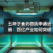 五味子食药物质申请进展:百亿产业如何突破瓶颈?(图4) 五味子食药物质申请进展:百亿产业如何突破瓶颈?(图4)