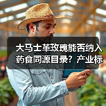 大马士革玫瑰能否纳入药食同源目录?产业标准如何制定?(图4) 大马士革玫瑰能否纳入药食同源目录?产业标准如何制定?(图4)