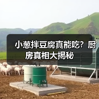 小葱拌豆腐真能吃?厨房真相大揭秘(图3) 小葱拌豆腐真能吃?厨房真相大揭秘(图3)
