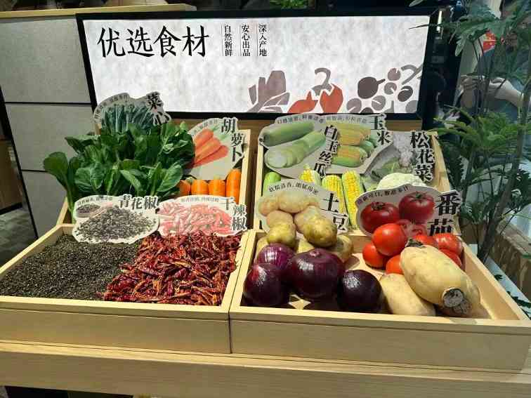 彻底改头换面,“新太二·鲜料川菜”冲击千亿赛道?(图7) 彻底改头换面,“新太二·鲜料川菜”冲击千亿赛道?(图7)